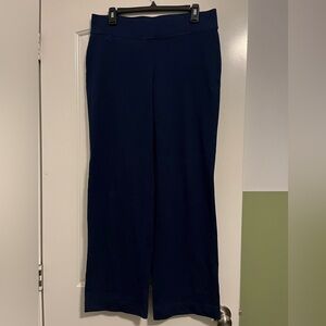 Lands' End Navy Pants